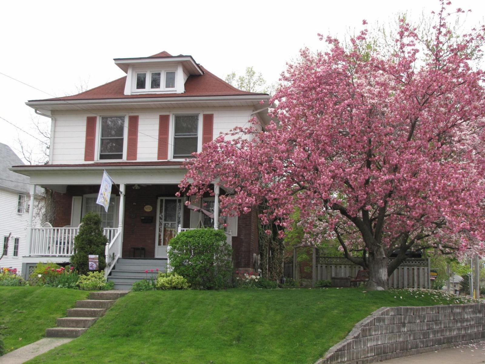 Strathaird Bed And Breakfast Niagara Falls Eksteriør bilde